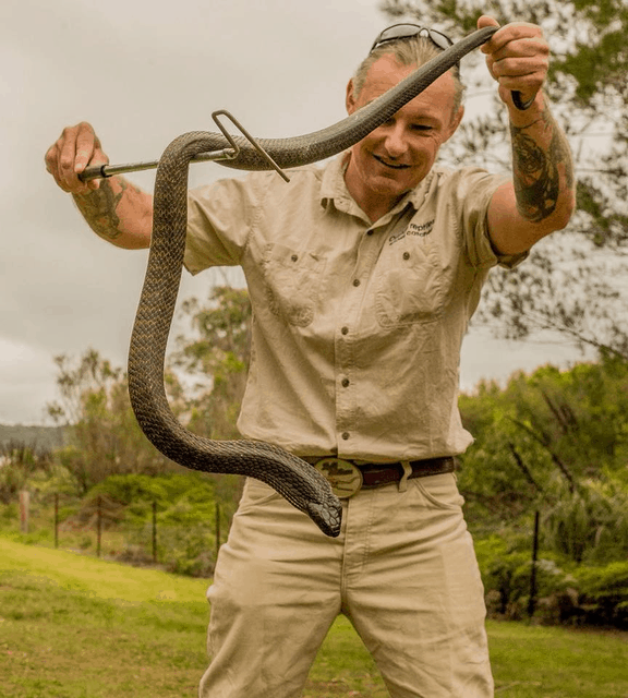 Ray McGibbon | Ozstyle Reptiles | Snake Catcher